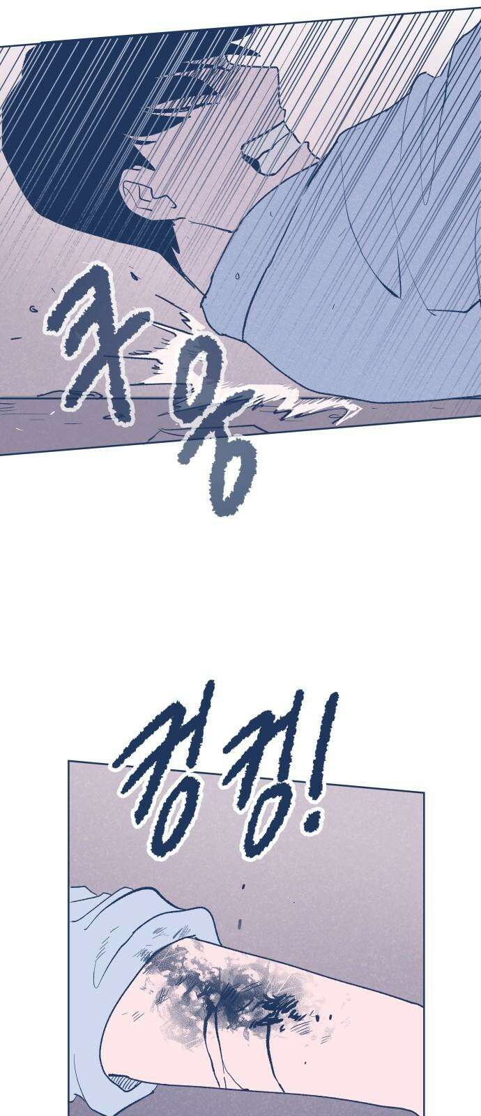 반려짐승 50화 13