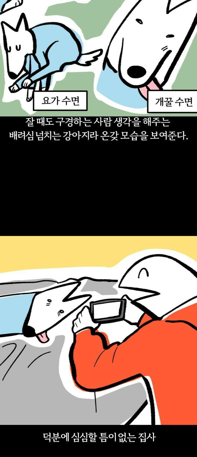 개집사 37화: 개꿀잠 20