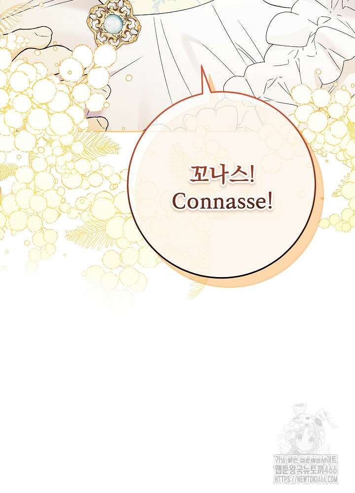 셀럽 레이디 38화 14