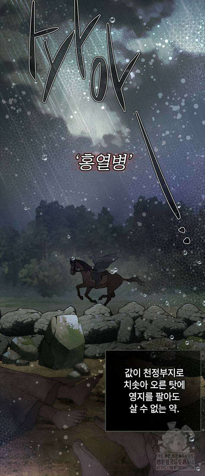 그 기사가 레이디로 사는 법 141화 : 루이보스 아이딘 (3) 12