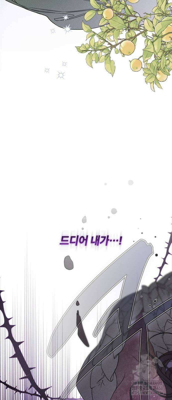 그 기사가 레이디로 사는 법 141화 : 루이보스 아이딘 (3) 22