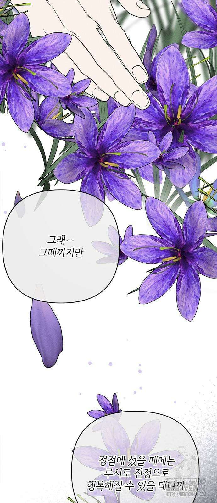 그 기사가 레이디로 사는 법 141화 : 루이보스 아이딘 (3) 47