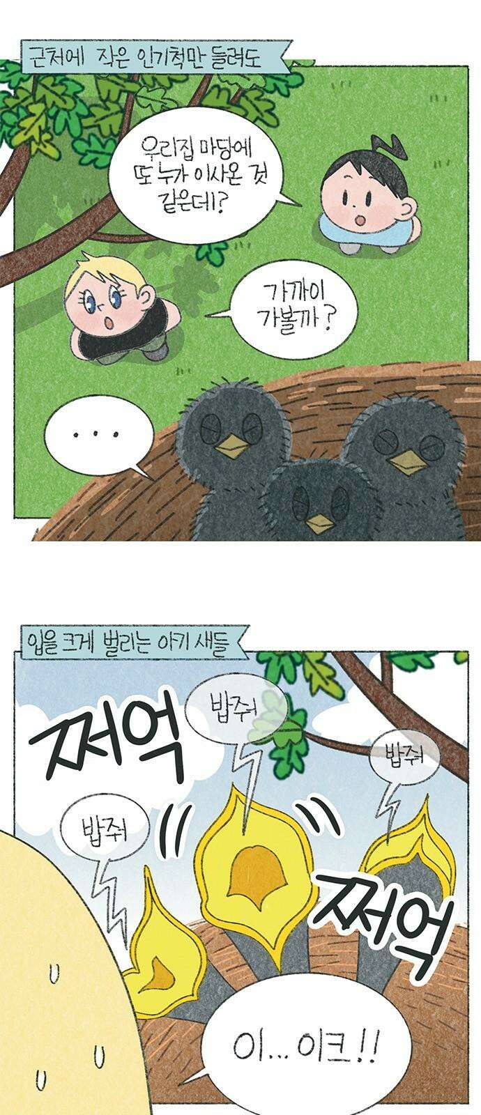 마님이네 미국 시골집 이야기 131화 아기새 스카이 2