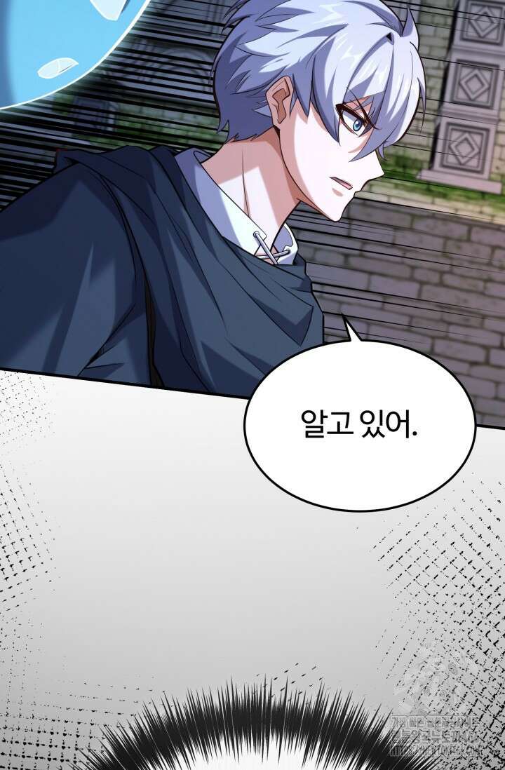 소드마스터의 환생 47화 19