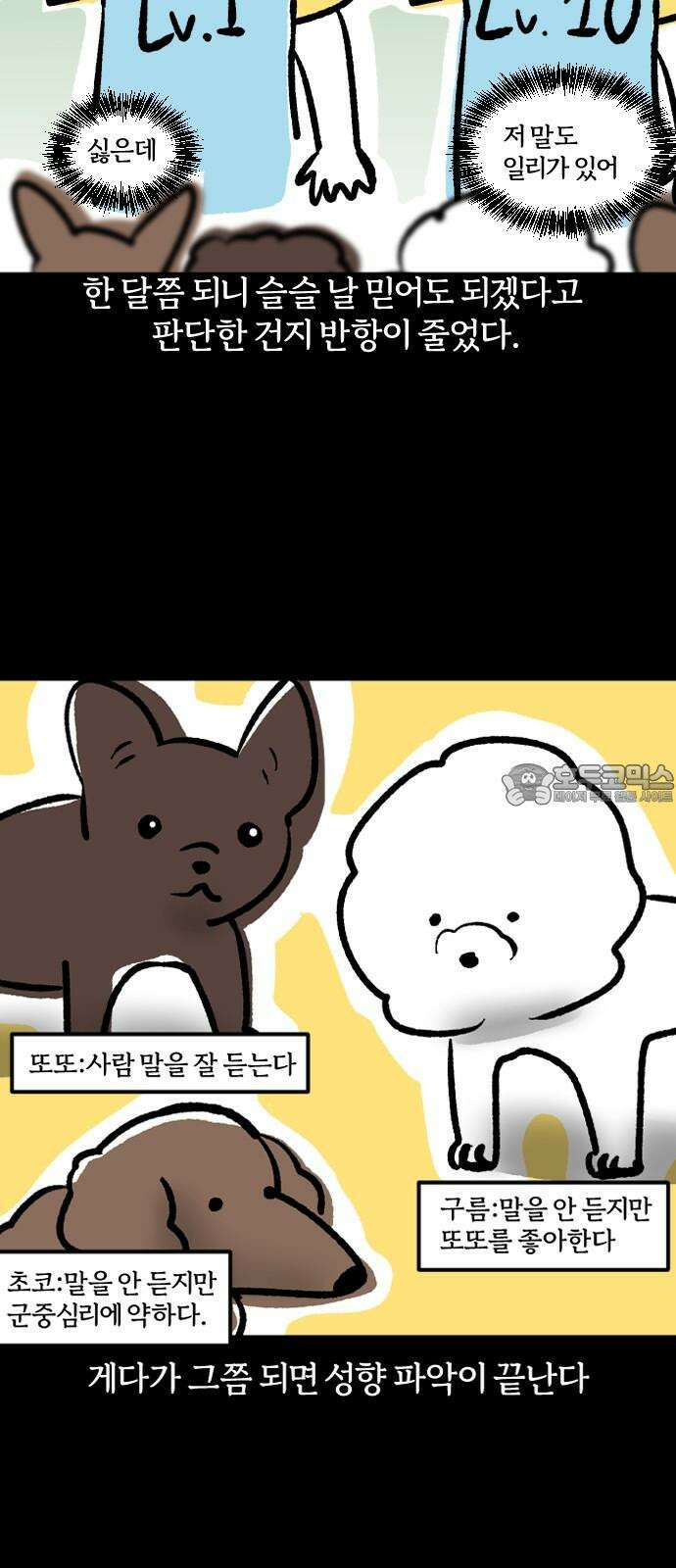 개집사 39화: 집사, 알바하다-2 15