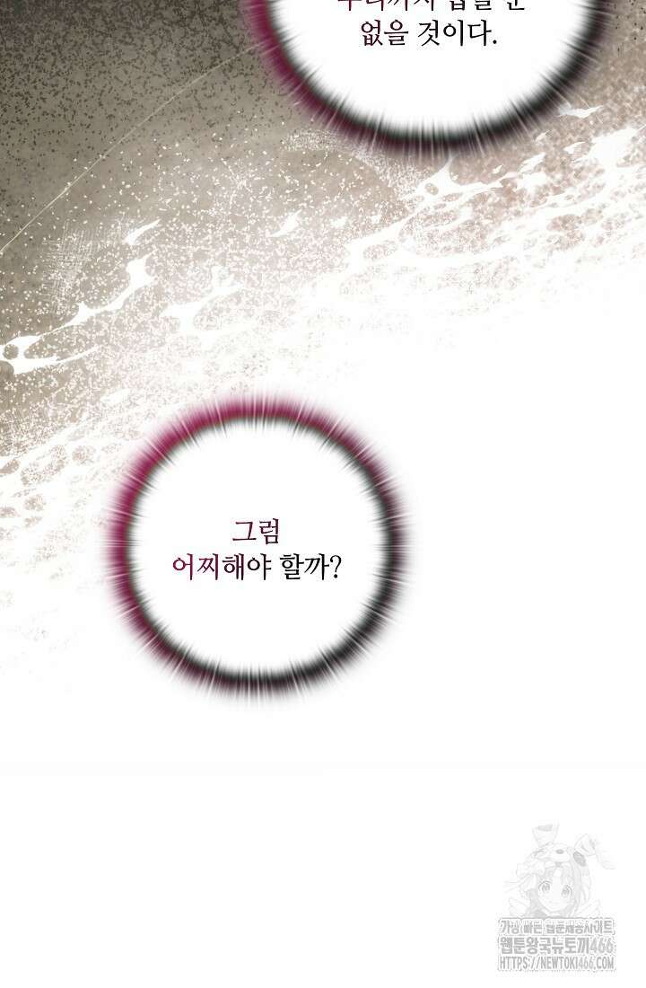 아도니스 272화 11