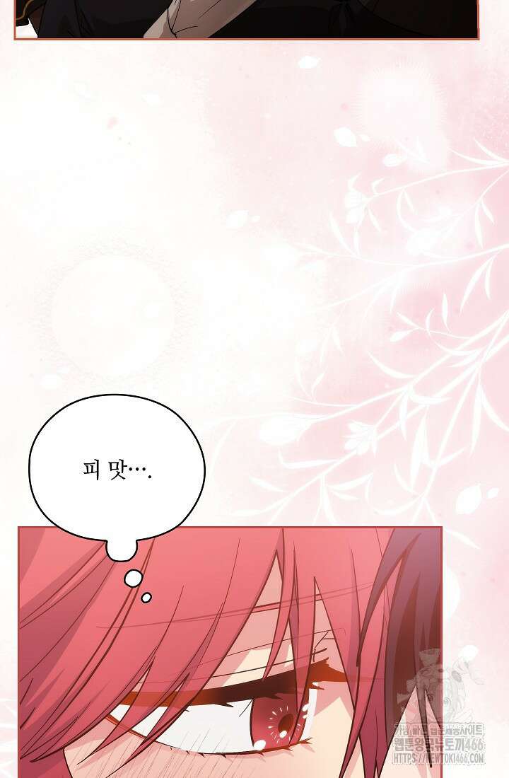 아도니스 272화 22