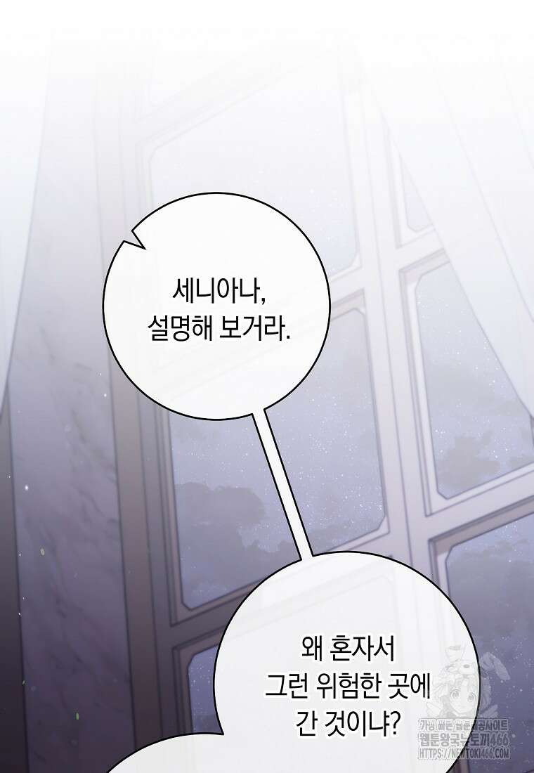 로열 셰프 영애님 165화 3