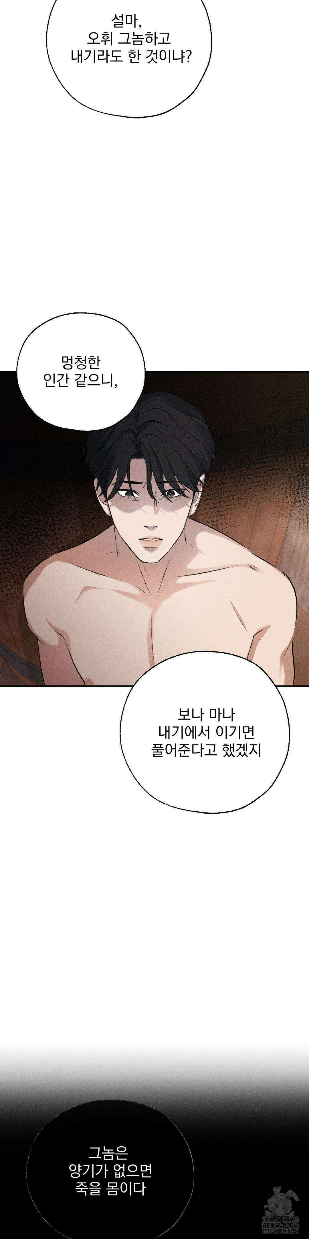 양기 11화 5