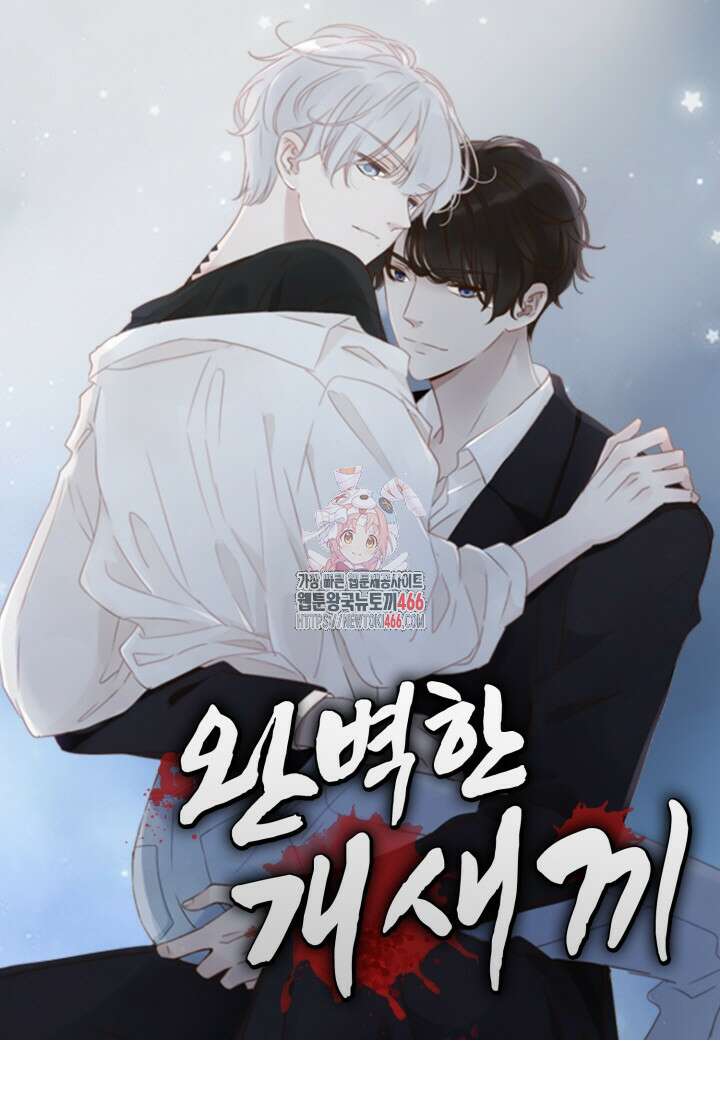 완벽한 개새끼 61화 1