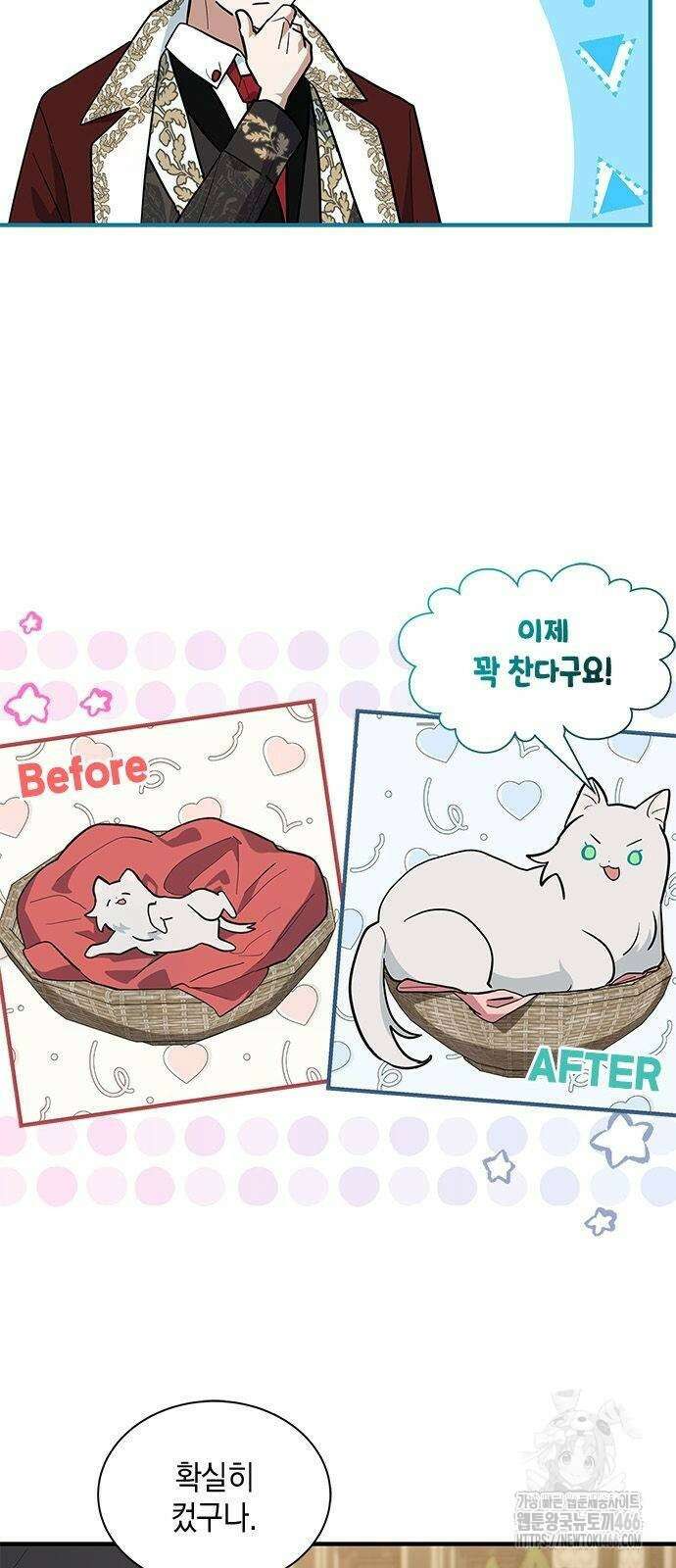 고양이인데, 늑대 가문에 입양당했다? 41화 7