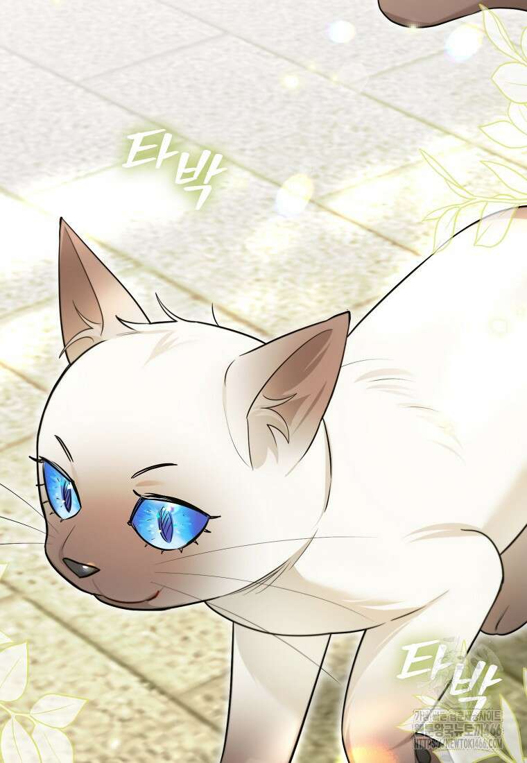 악역에 빙의했지만, 고양이나 키울래요 40화 11