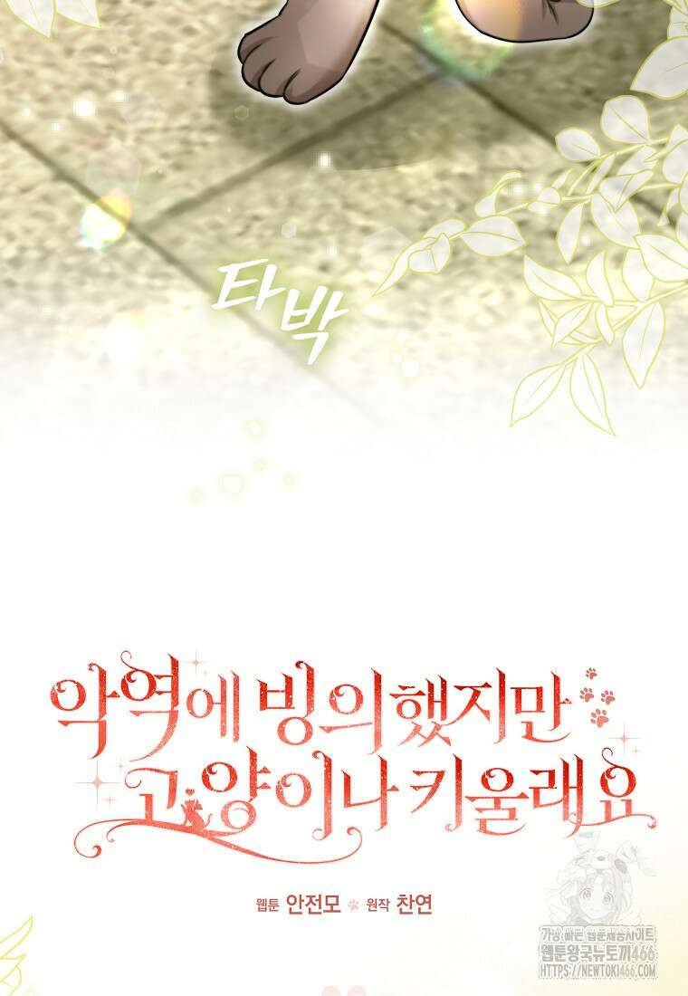 악역에 빙의했지만, 고양이나 키울래요 40화 12