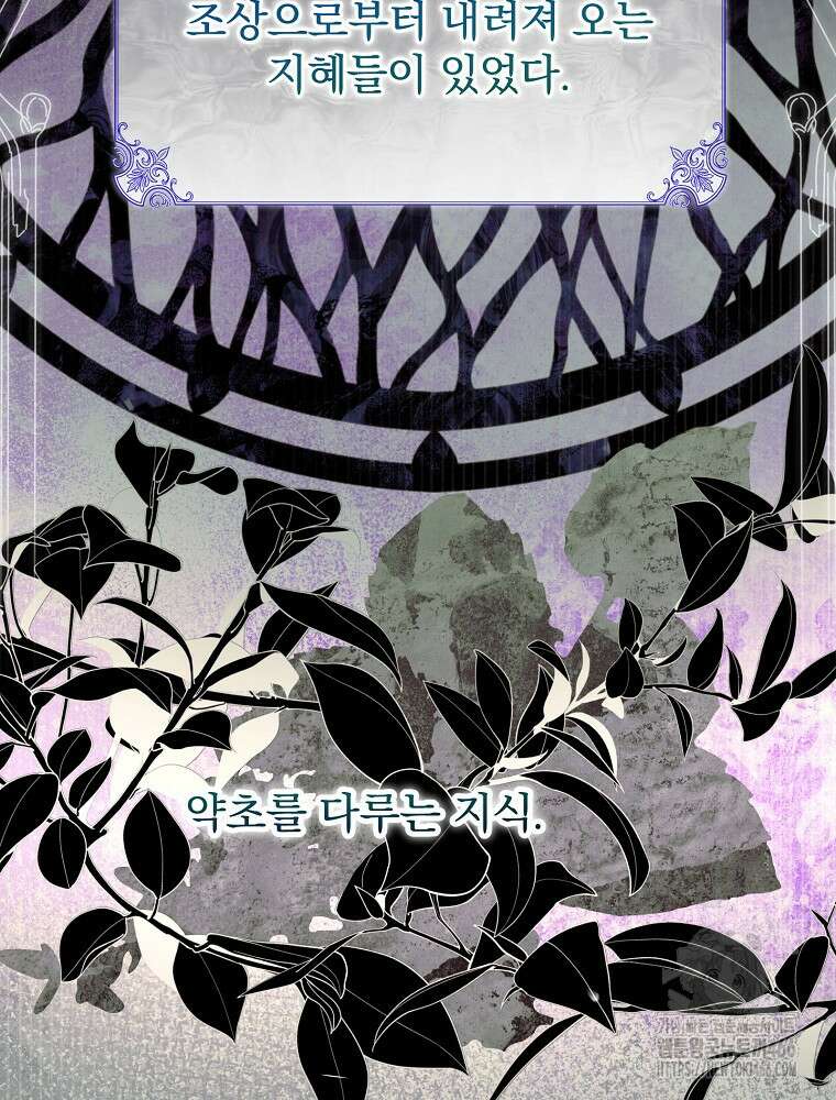 저는 모르는 일이니 헤어질까요, 폐하? 33화 2