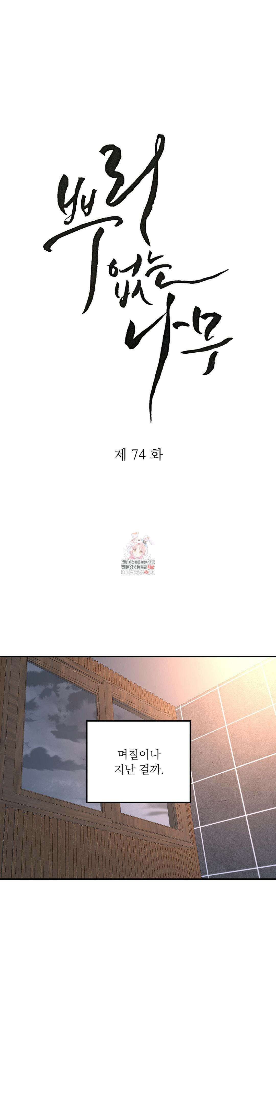 뿌리 없는 나무 74화 1