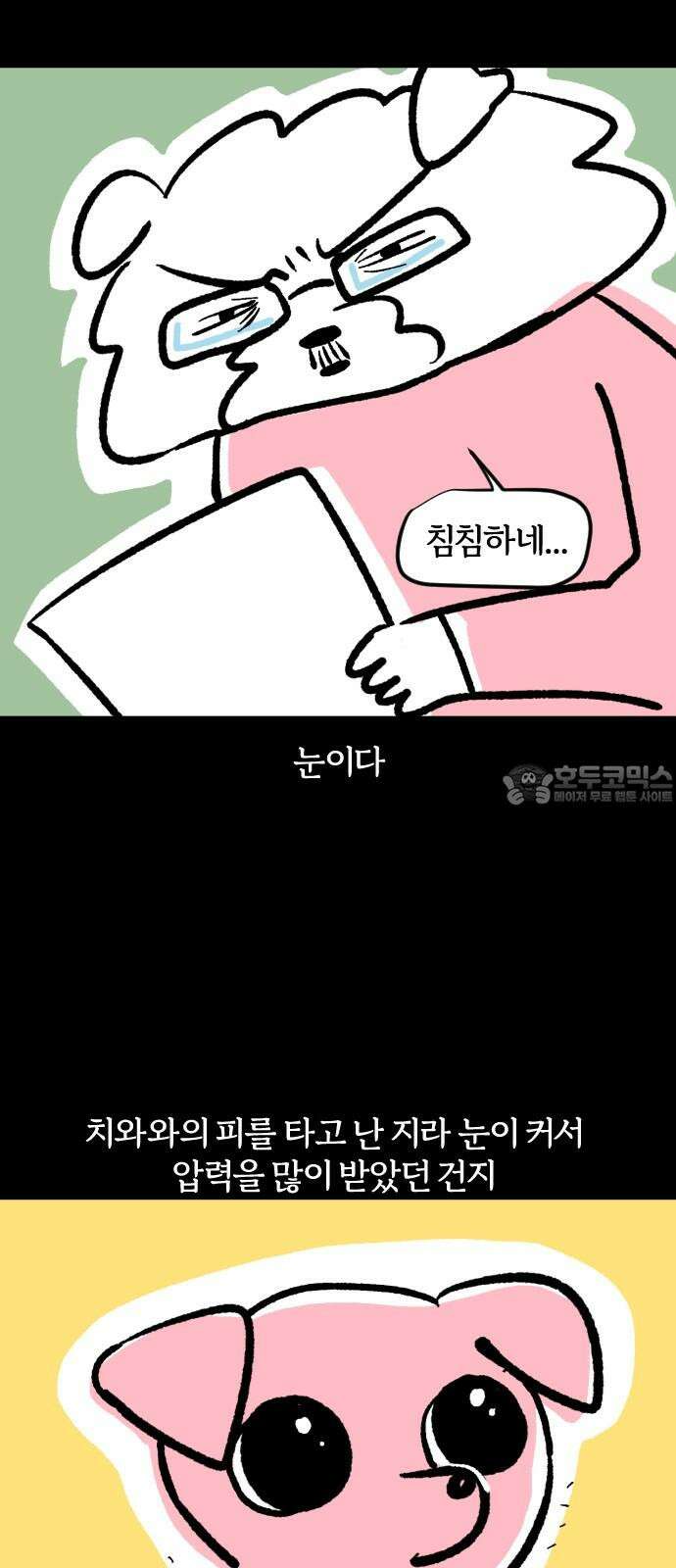 개집사 44화: 나의 작은 친구 3