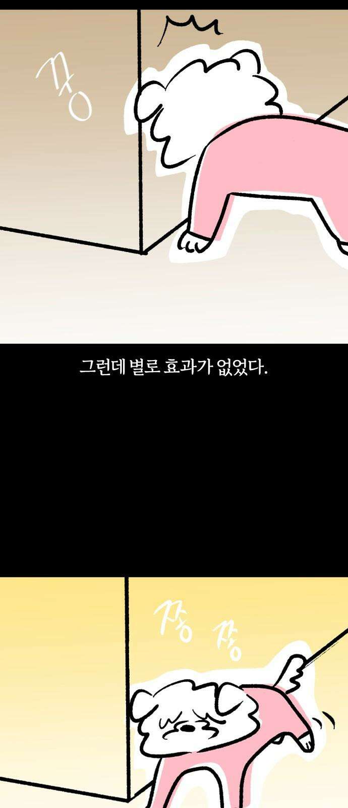 개집사 44화: 나의 작은 친구 10
