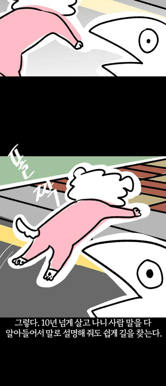 개집사 44화: 나의 작은 친구 13