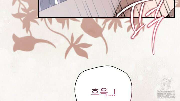 세이렌:저주의시작 6화 6