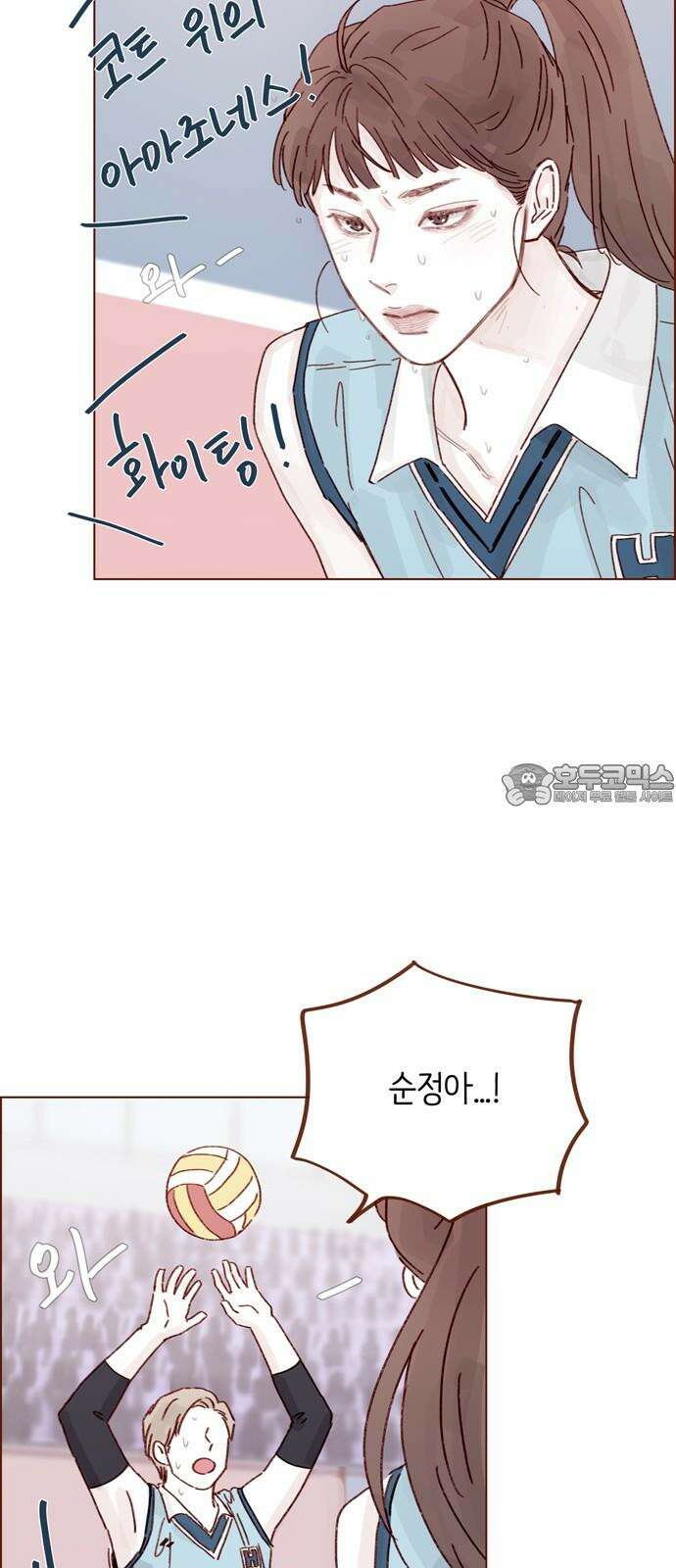 홍시는 날 좋아해! 297화 : 정순정! 너 진짜 대단했어! 15