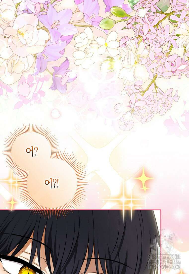 아기 다람쥐가 다 잘해요 95화 79