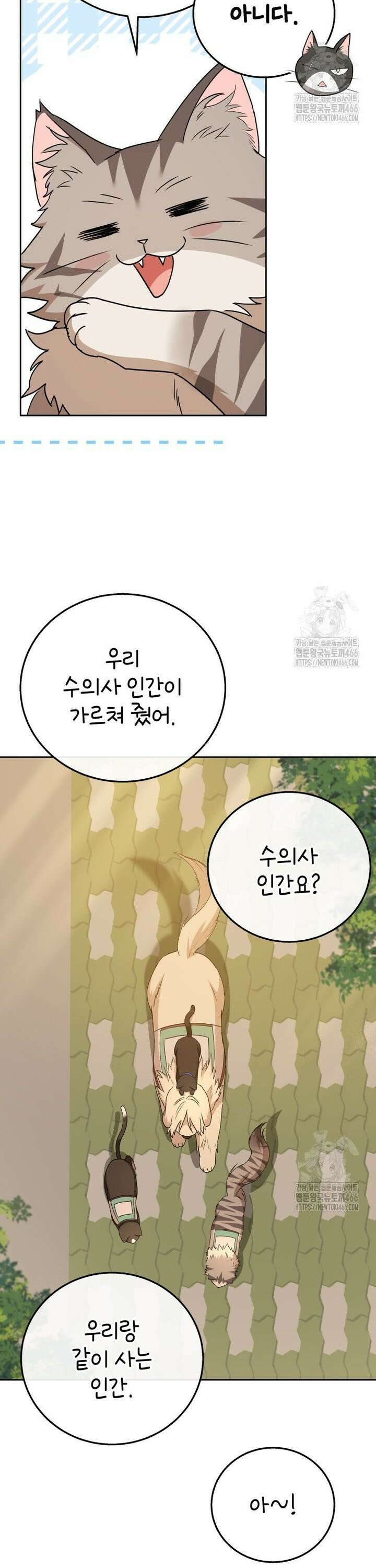 수의사님! 안녕하세요? 78화 3