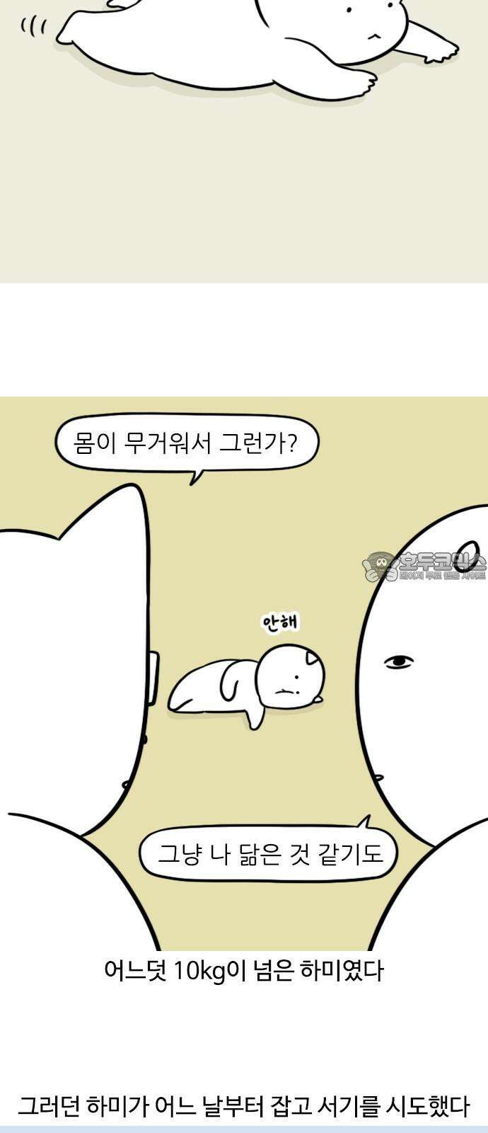 신혼일기 114화 잡고 서기 3