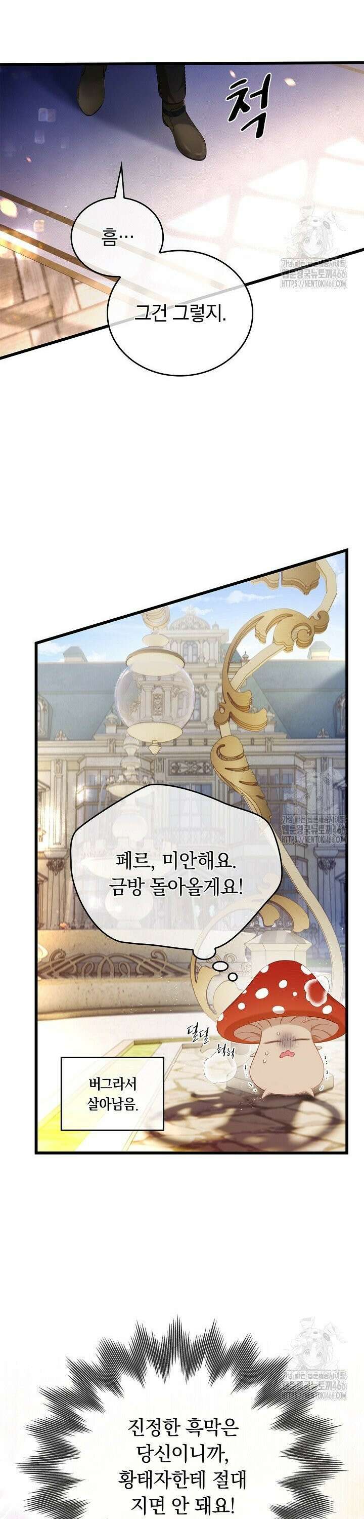 황태자의 용으로 태어났다 37화 3