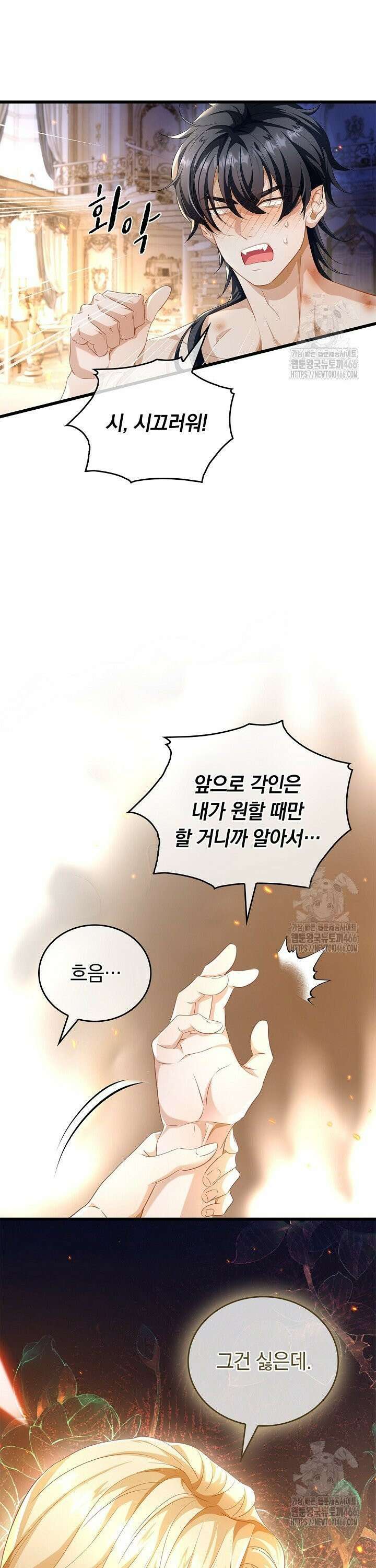 황태자의 용으로 태어났다 37화 11