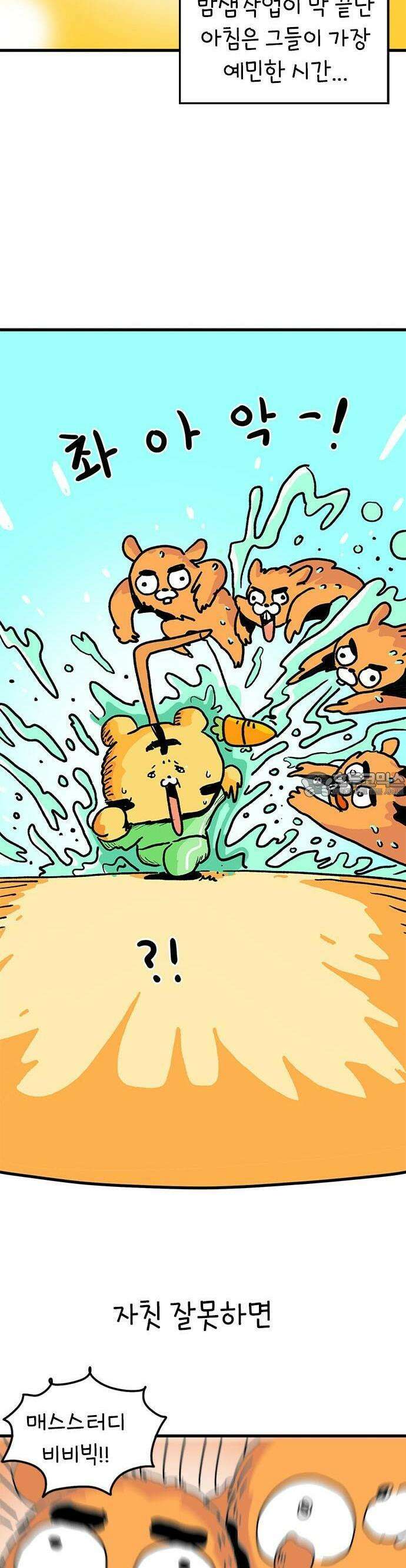 소심한 호랭이 코코 28화 달리기 좋아한다 말해! (3) 2