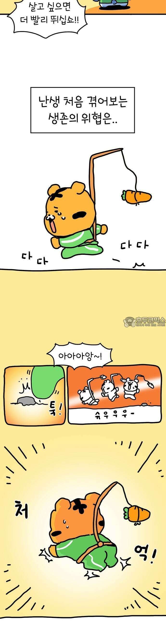 소심한 호랭이 코코 28화 달리기 좋아한다 말해! (3) 4