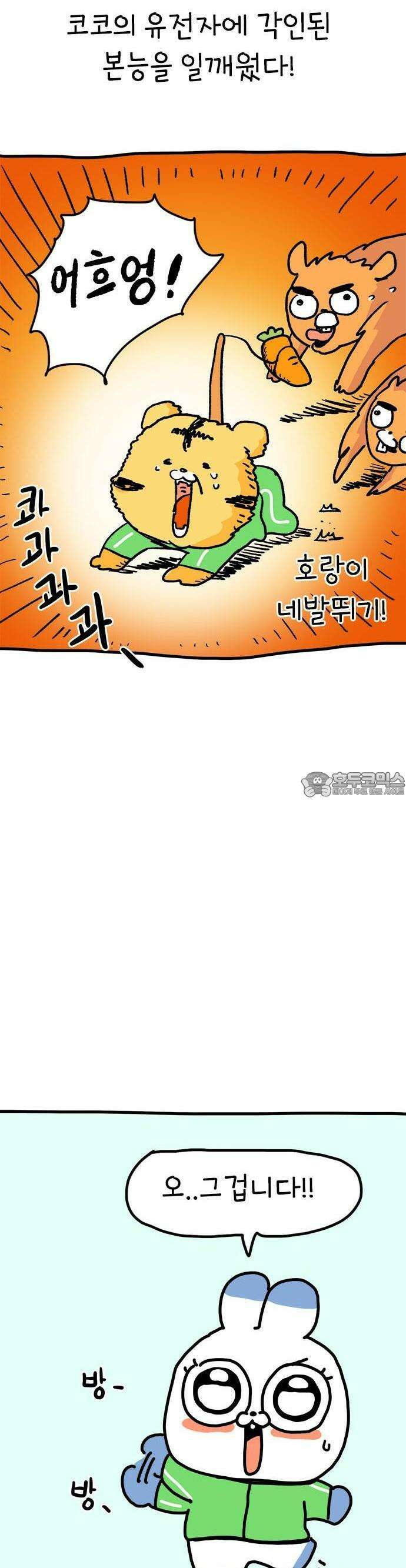 소심한 호랭이 코코 28화 달리기 좋아한다 말해! (3) 5
