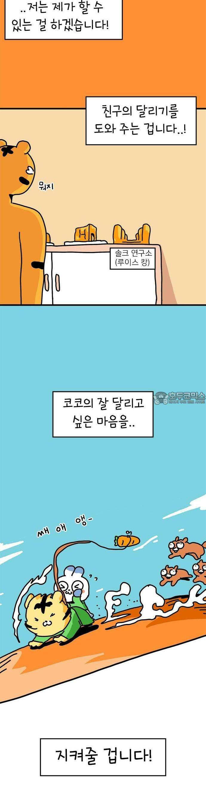 소심한 호랭이 코코 28화 달리기 좋아한다 말해! (3) 20