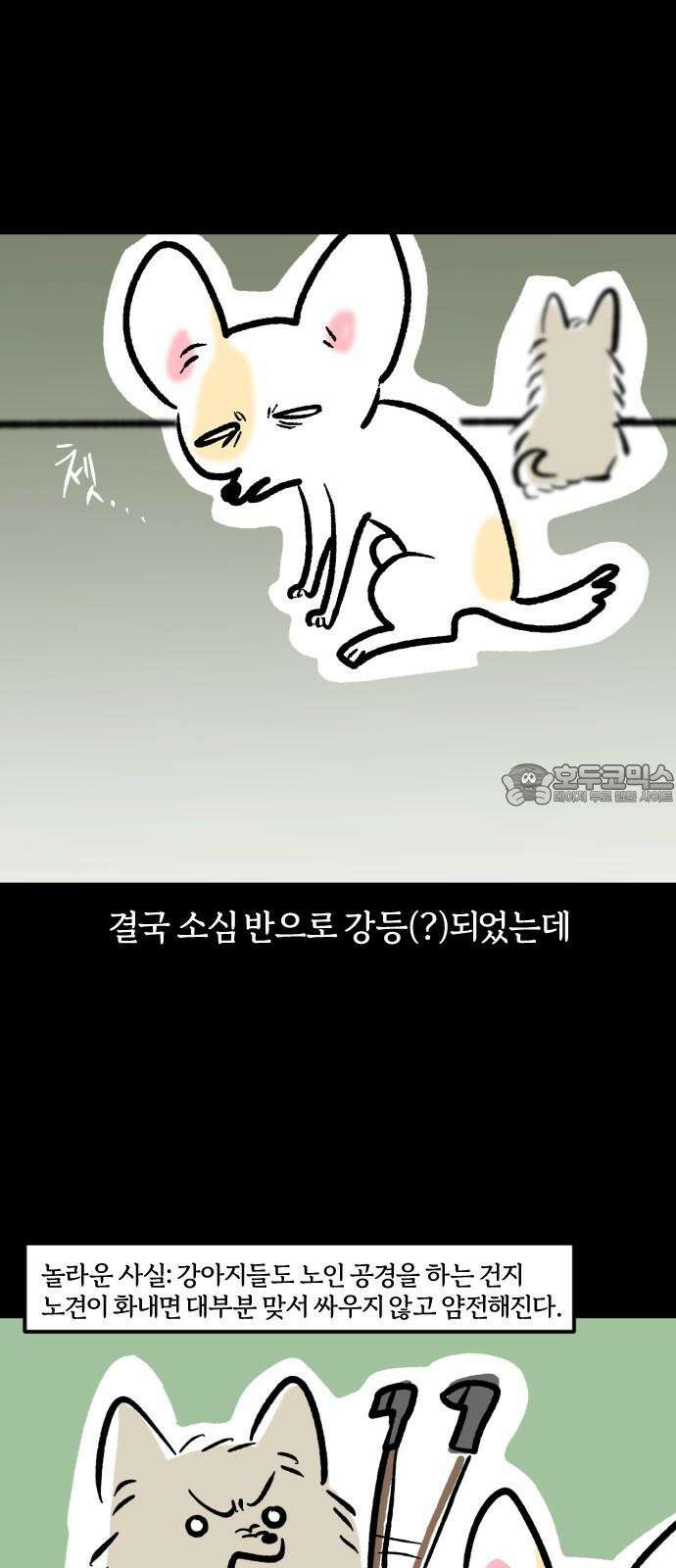 개집사 48화: 미니 원숭이 9