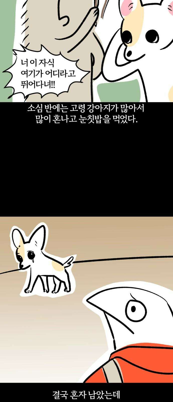 개집사 48화: 미니 원숭이 10