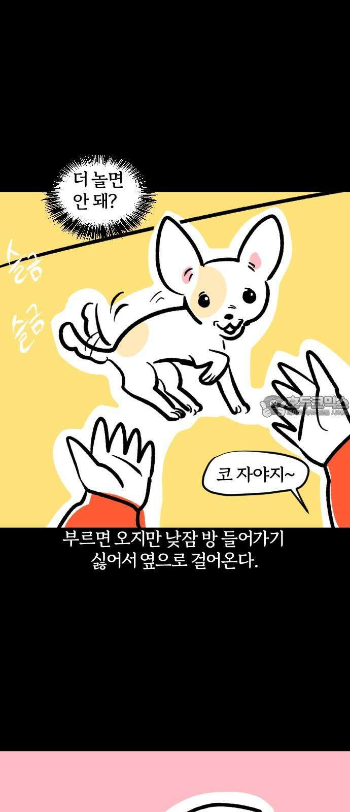 개집사 48화: 미니 원숭이 18