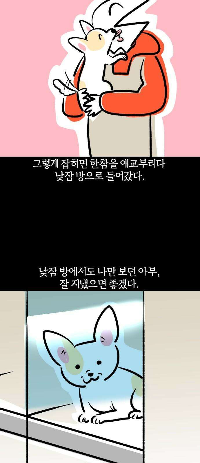 개집사 48화: 미니 원숭이 19