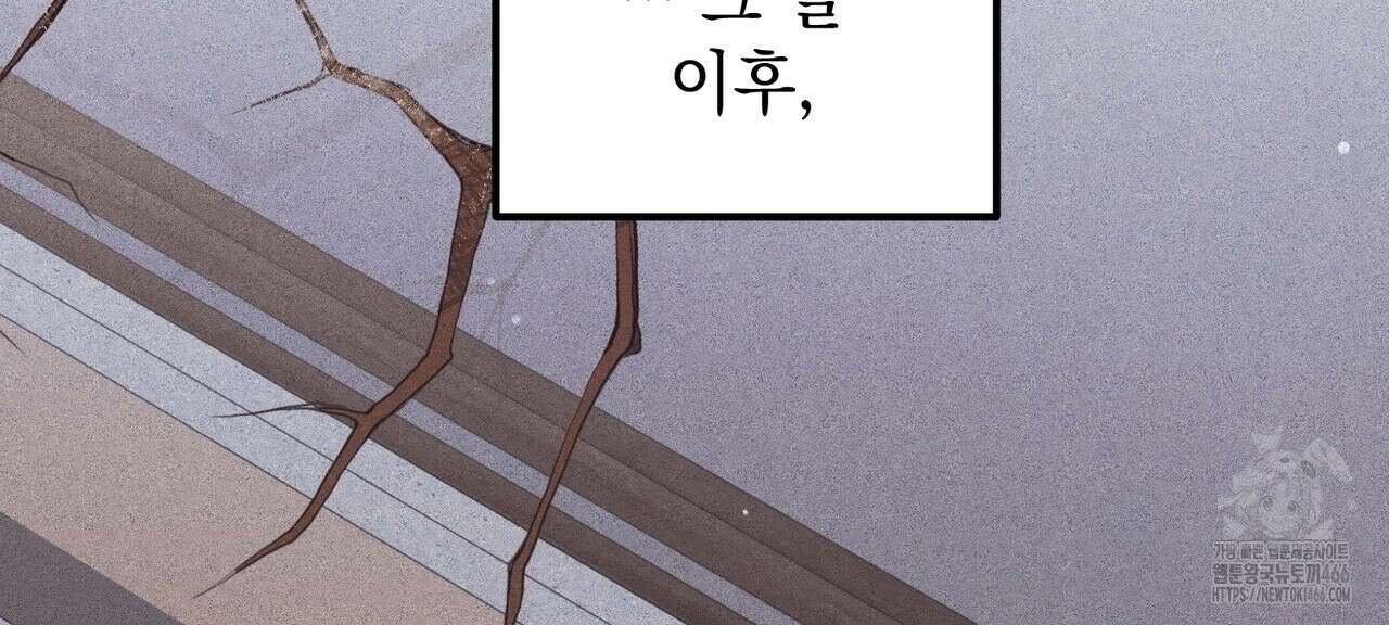 동백꽃 19화 10