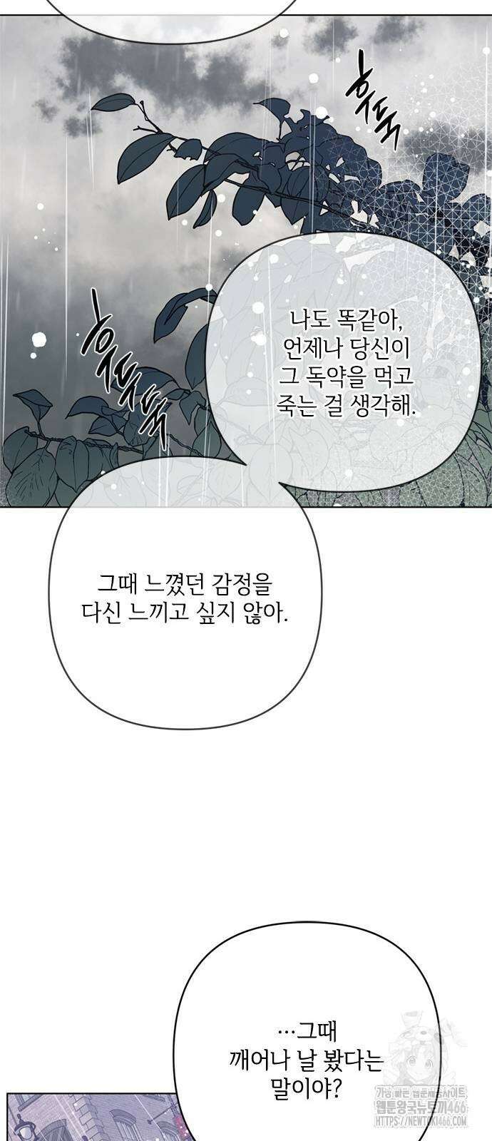 그 기사가 레이디로 사는 법 147화 59