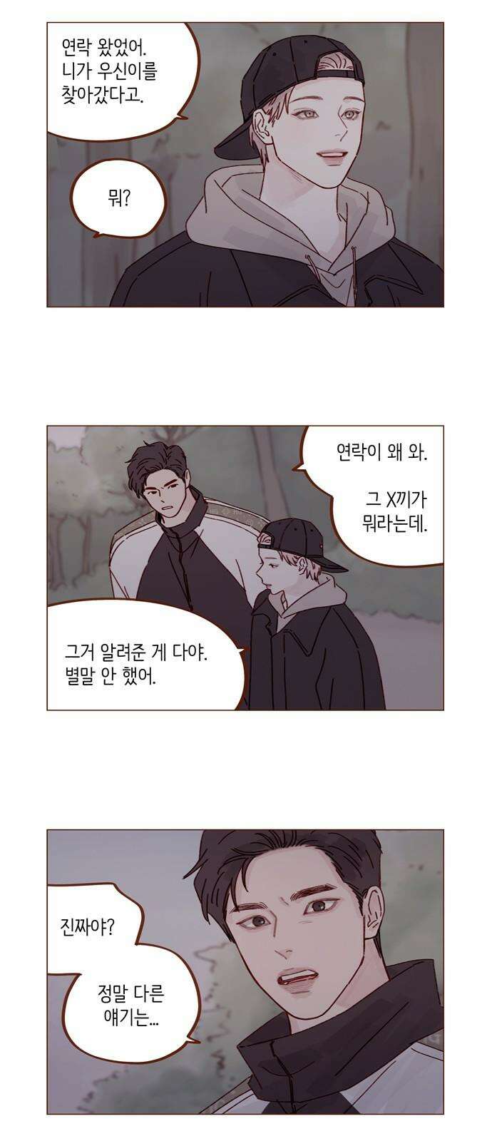홍시는 날 좋아해! 299화 : 오늘이 아니면 안 되거든 2