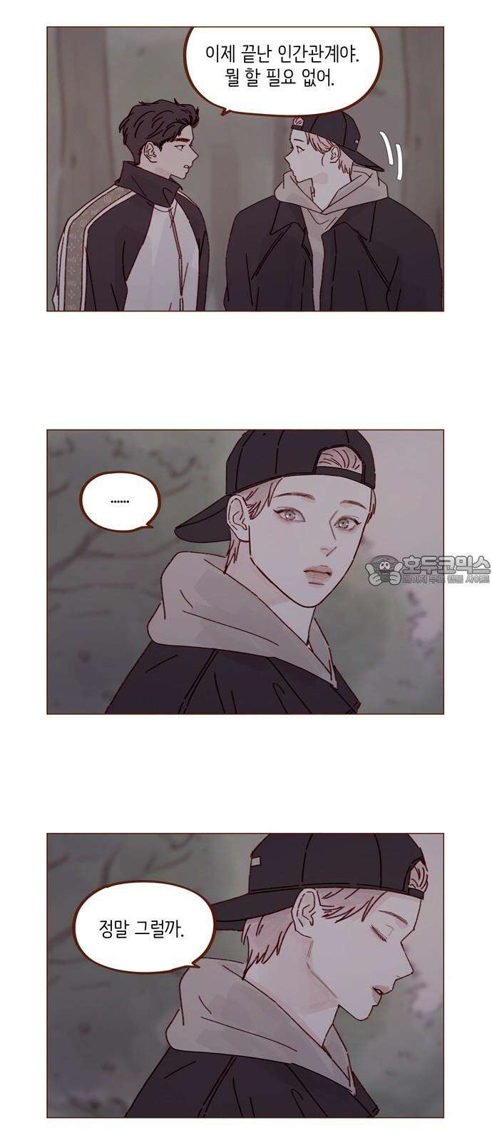 홍시는 날 좋아해! 299화 : 오늘이 아니면 안 되거든 6