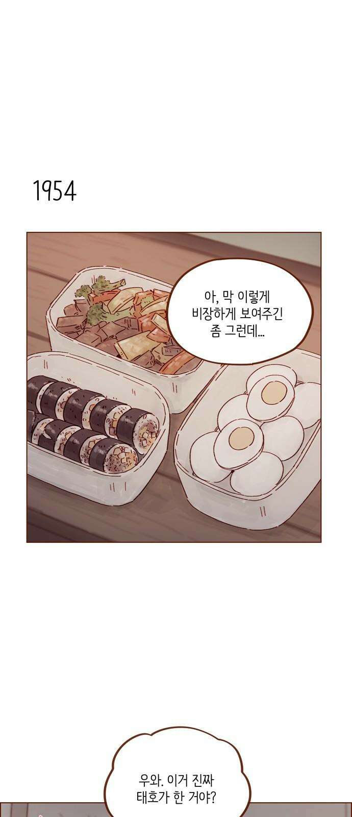 홍시는 날 좋아해! 299화 : 오늘이 아니면 안 되거든 14