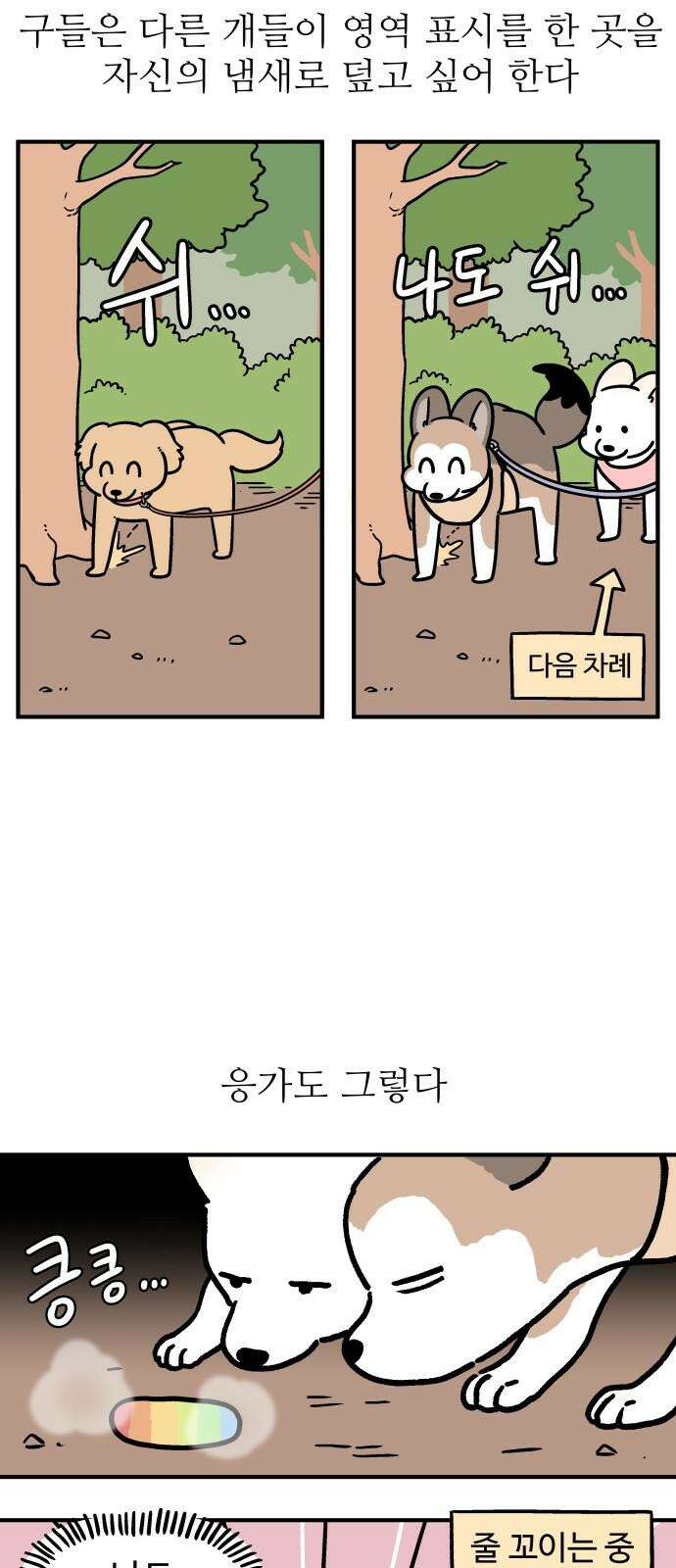 노곤하개 쇼츠 똥봉투와 건망증 11