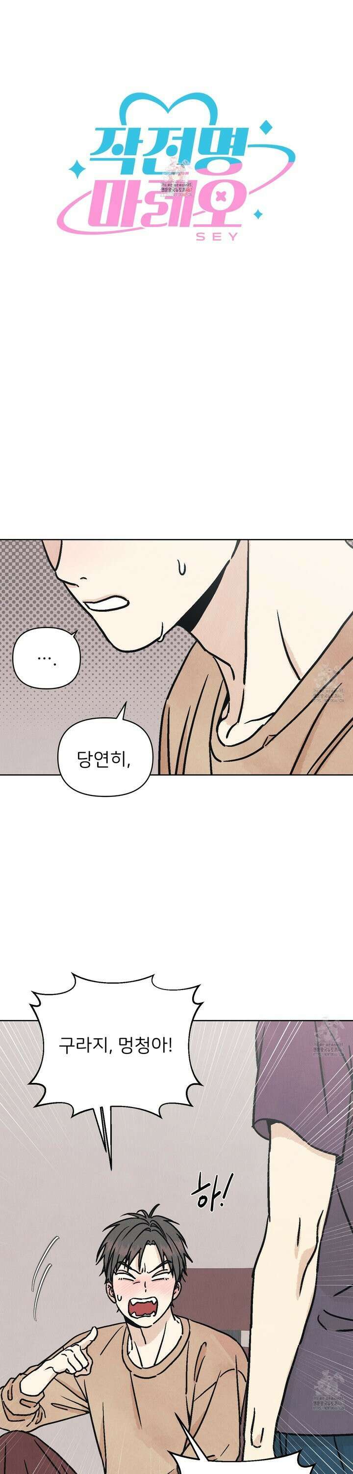 작전명 마레오 10화 1