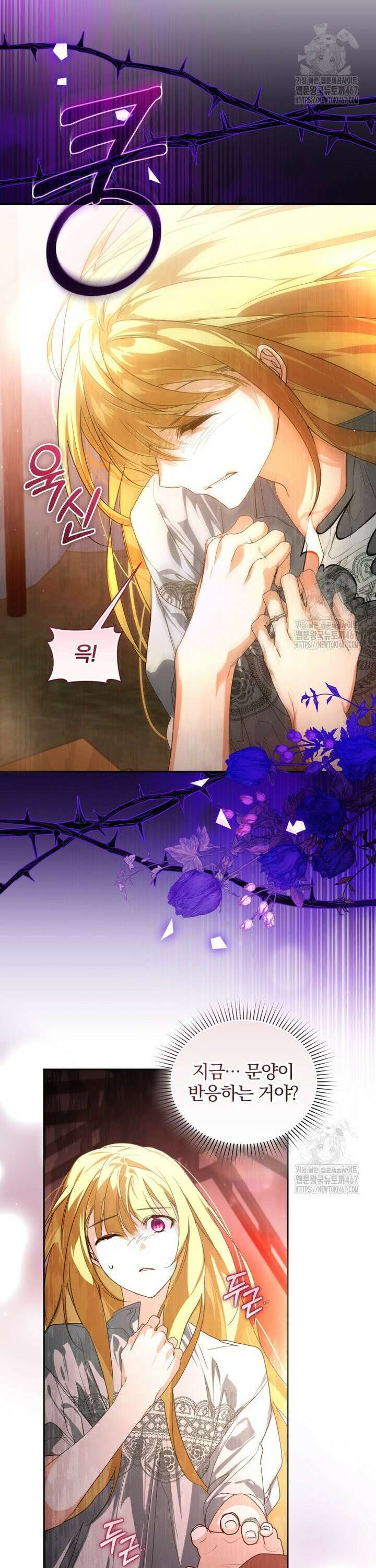 미친 악당의 품으로 떨어졌다 55화 11