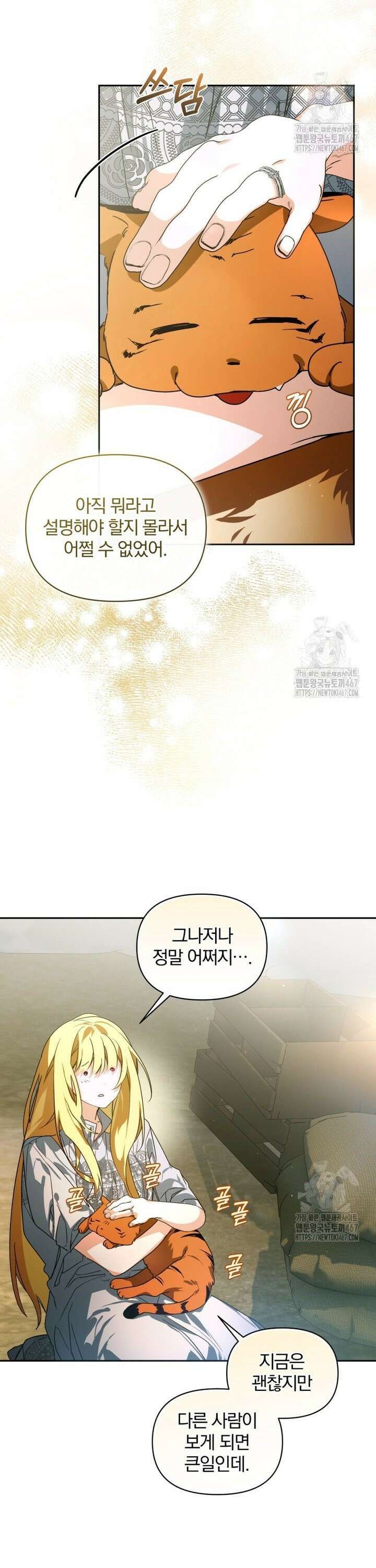 미친 악당의 품으로 떨어졌다 55화 20