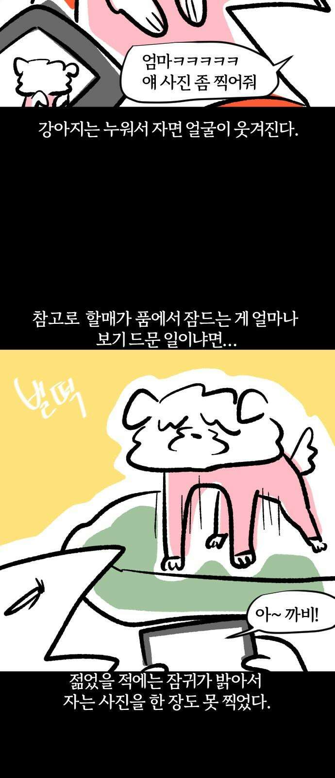 개집사 56화: 테라피 14
