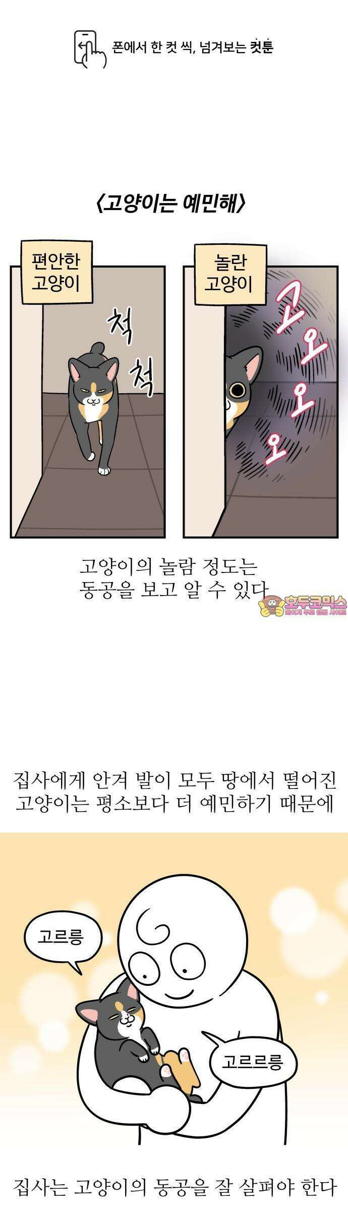 노곤하개 쇼츠 고양이는 예민해 1