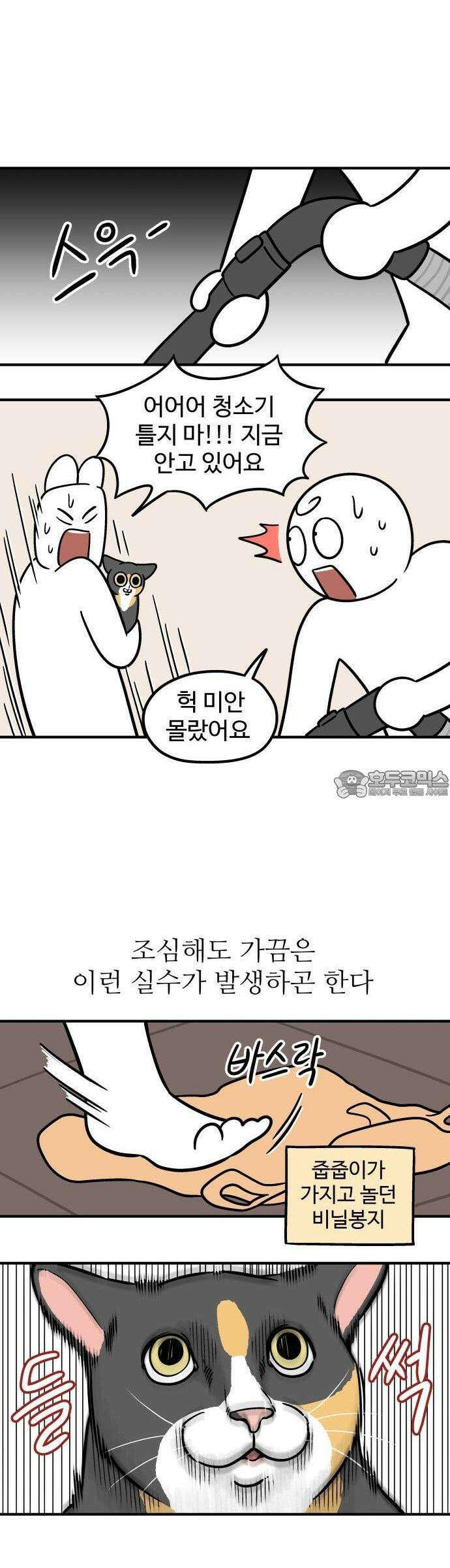 노곤하개 쇼츠 고양이는 예민해 3