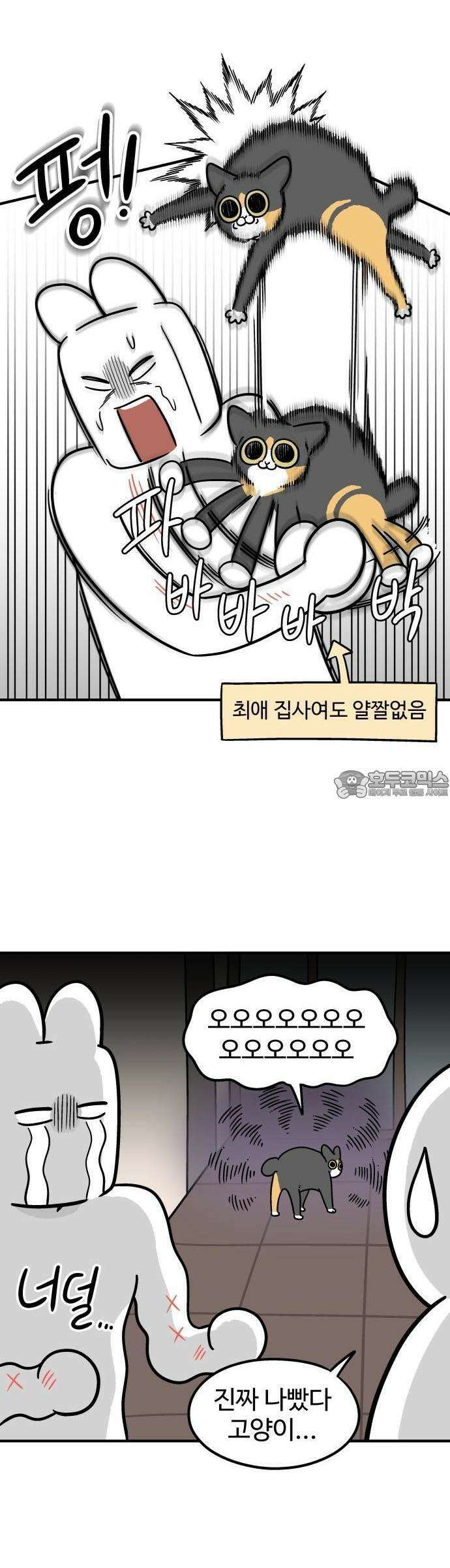 노곤하개 쇼츠 고양이는 예민해 4